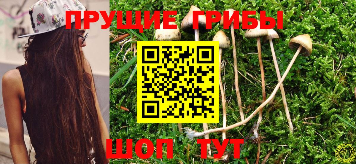 Псилоцибиновые грибы Magic Shrooms Рассказово